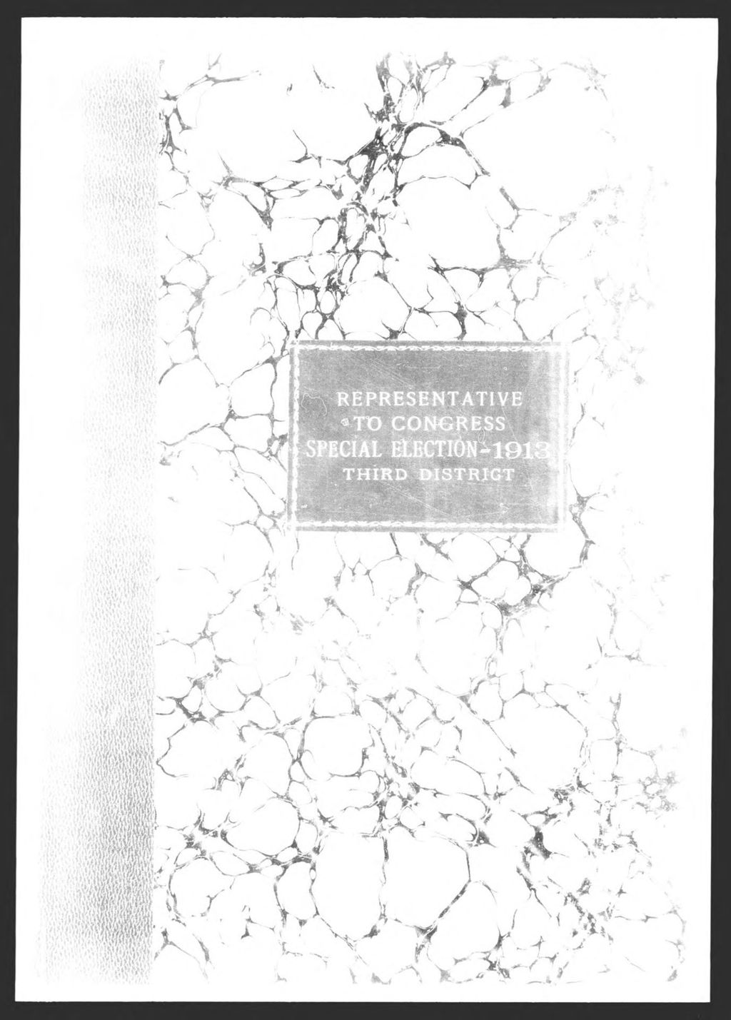 Miniature of Special Election: Representatives to Congress