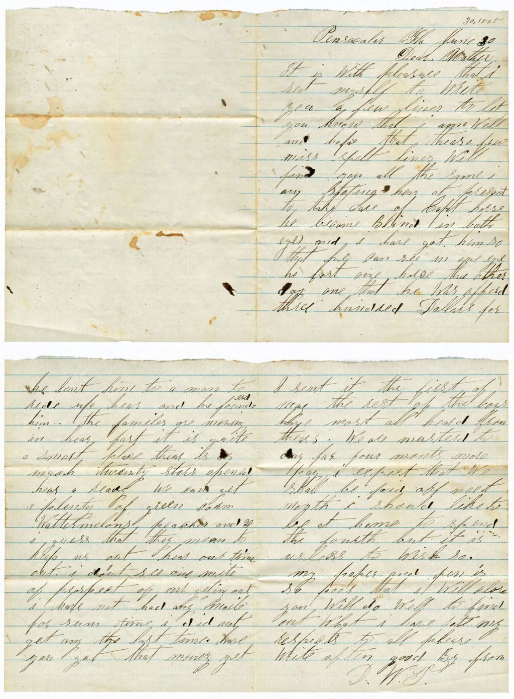 Miniature of Dexter True to Mother, Barrancas, FL