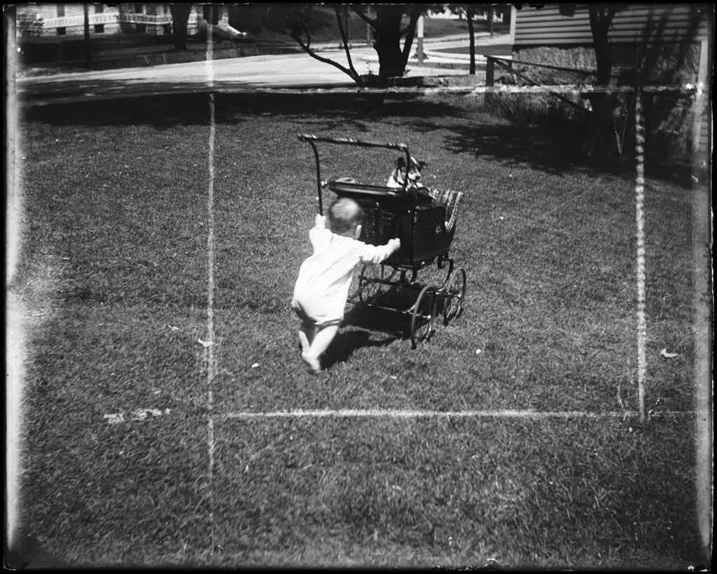 Miniature of Baby Pushing A Carriage With A Dog In It