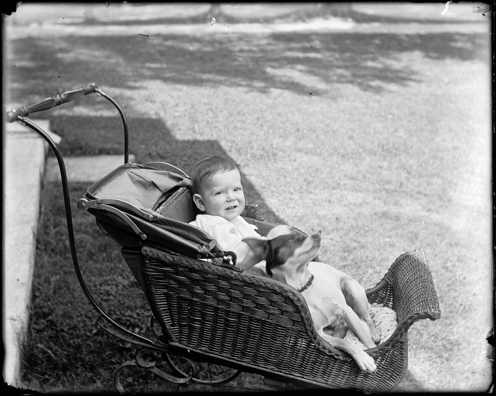 Miniature of Young Child And A Dog In A Baby Carriage