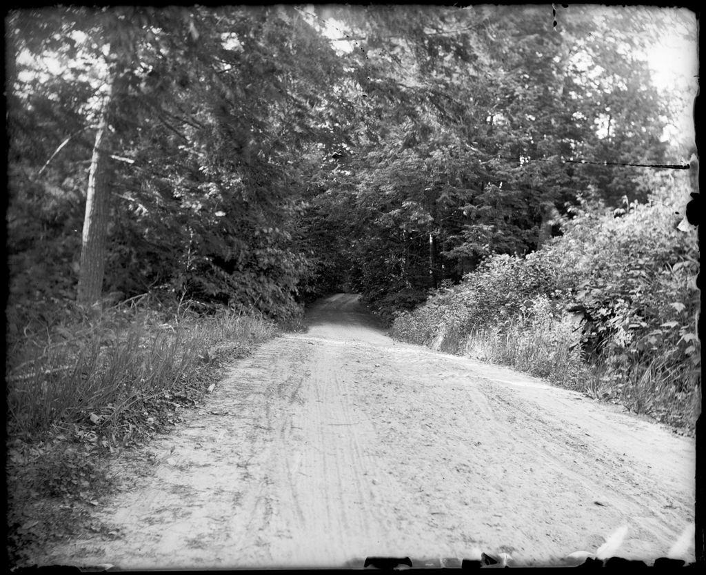 Miniature of Rural Road Through The Woods