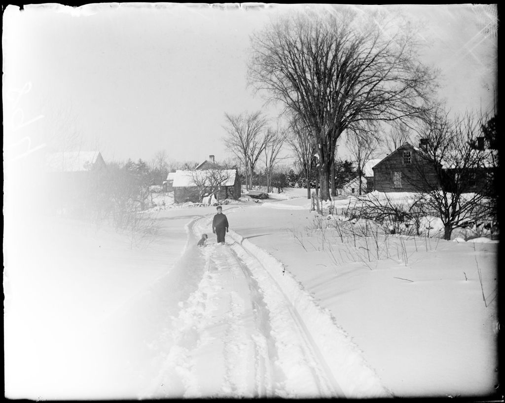Miniature of Boy And A Dog On A Snow Covered Sleigh Track
