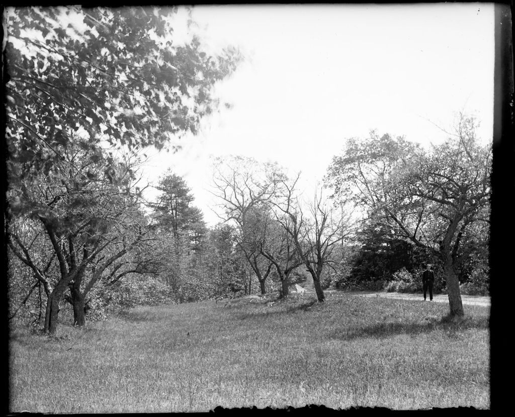 Miniature of Man Standing On A Rural Road Near A Group Of Apple Trees