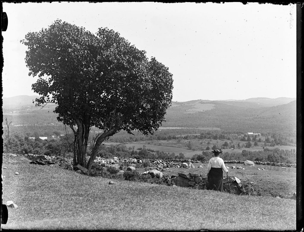 Miniature of Elderly Woman Standing Next To A Large Tree And Stone Wall, Fields And Hills In The Distance