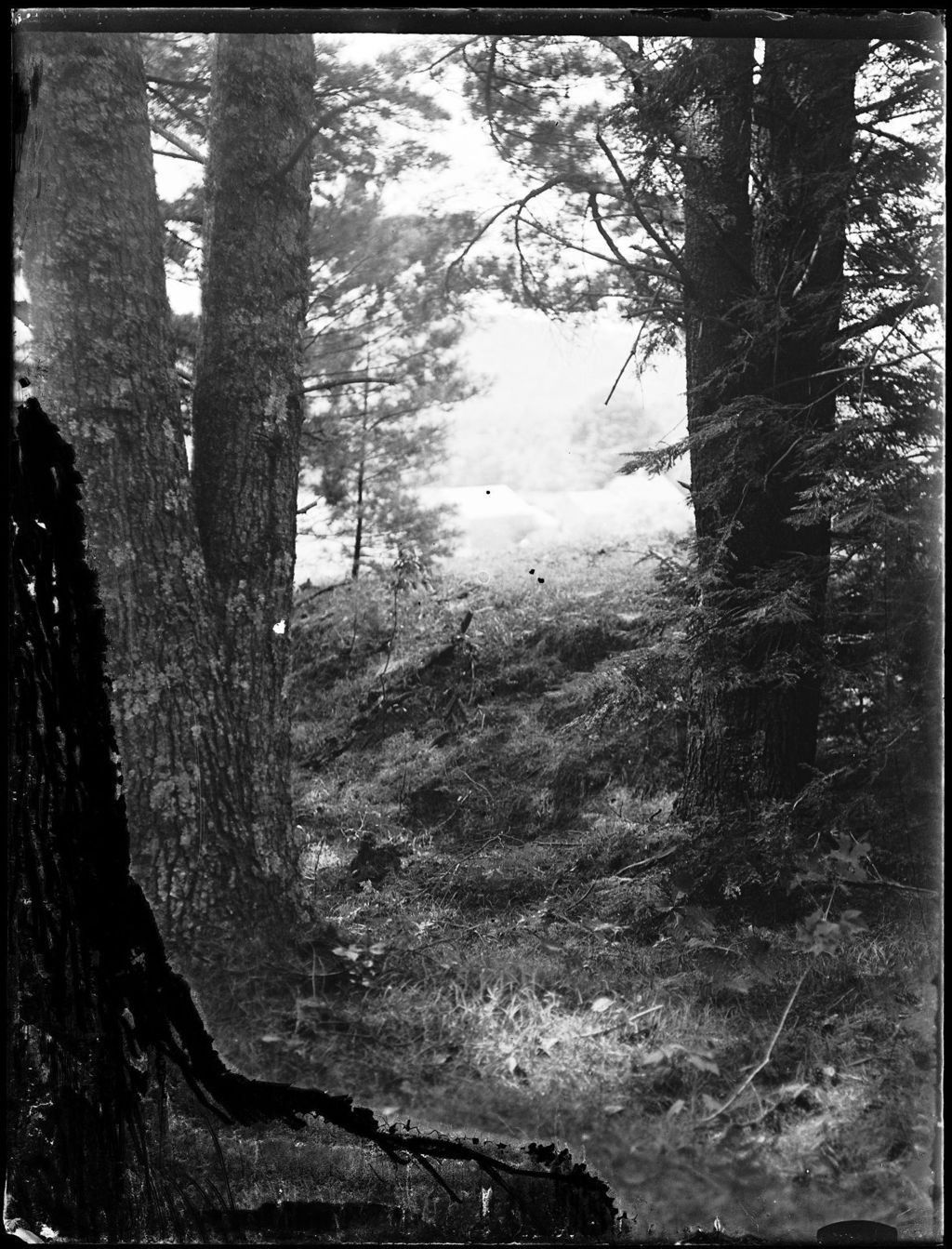 Miniature of View Of Fields And Distant Hills Through A Stand Of Trees