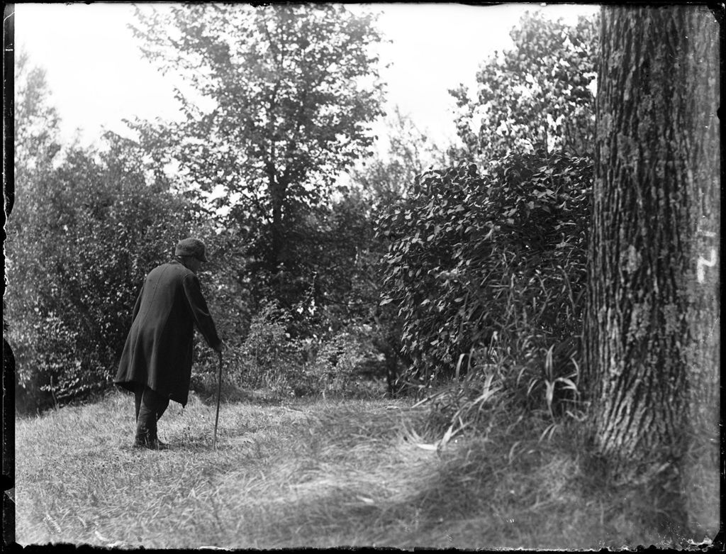 Miniature of Elderly Man (Woman) With A Cane Walking In A Field