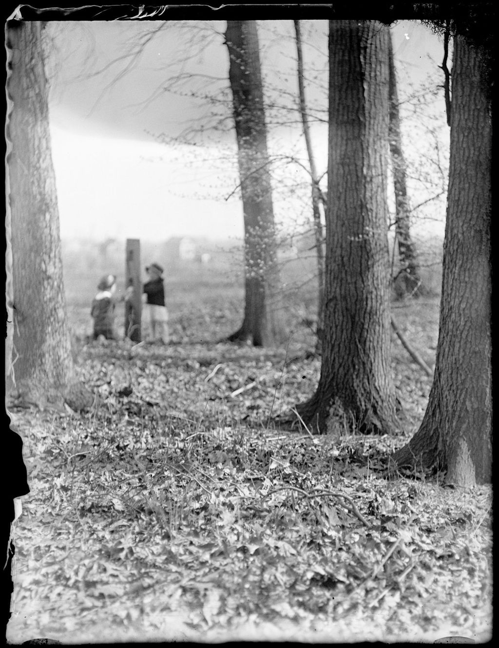 Miniature of Young Boy And Girl In The Woods Playing At A Fence Post