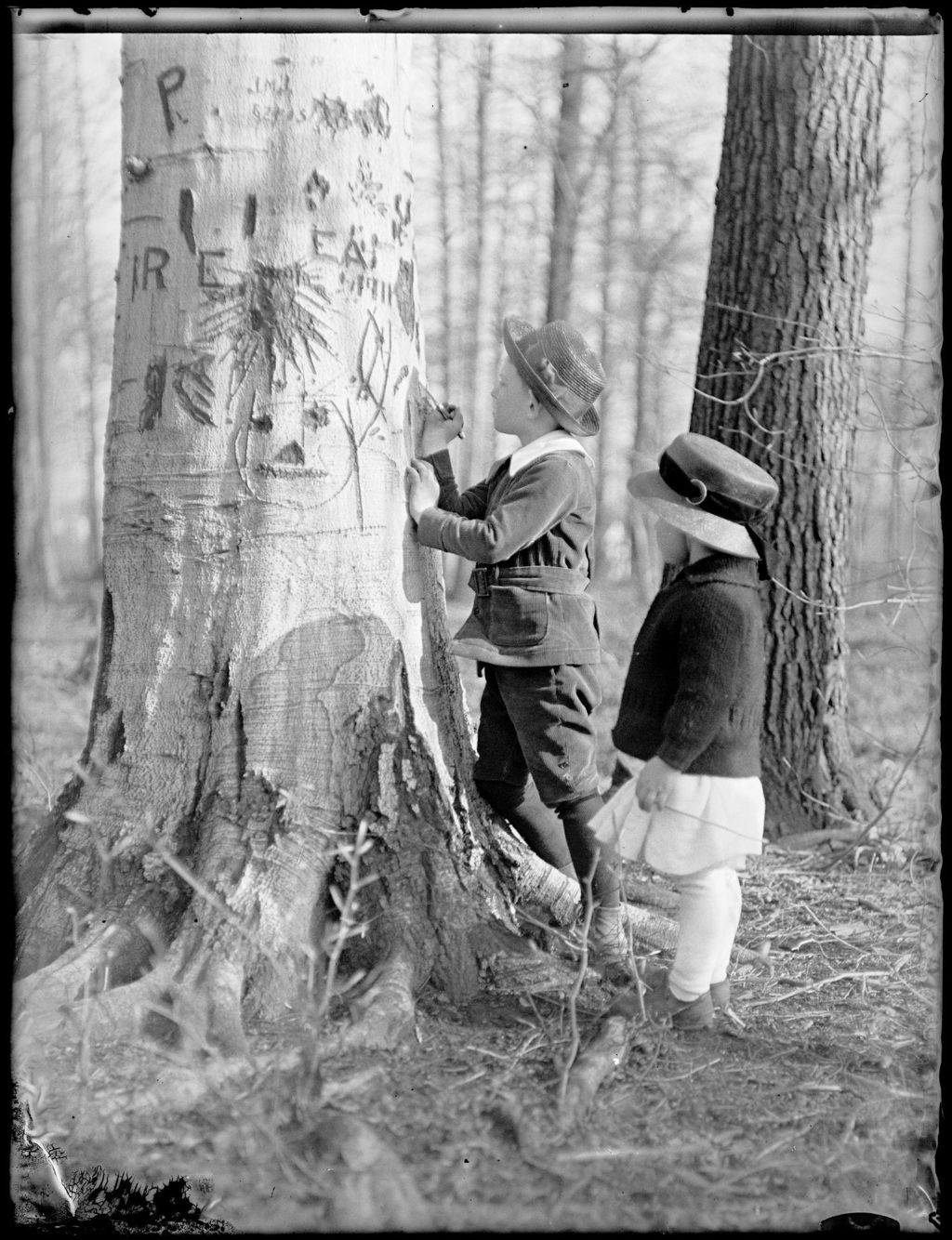 Miniature of Little Girl Looks On As Young Boy Carves Initials In A Tree Trunk