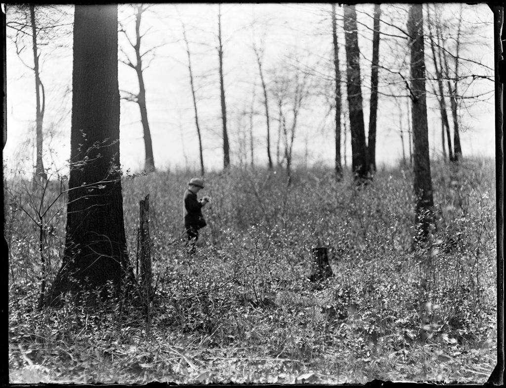 Miniature of Young Child Walking In A Lightly Wooded Area