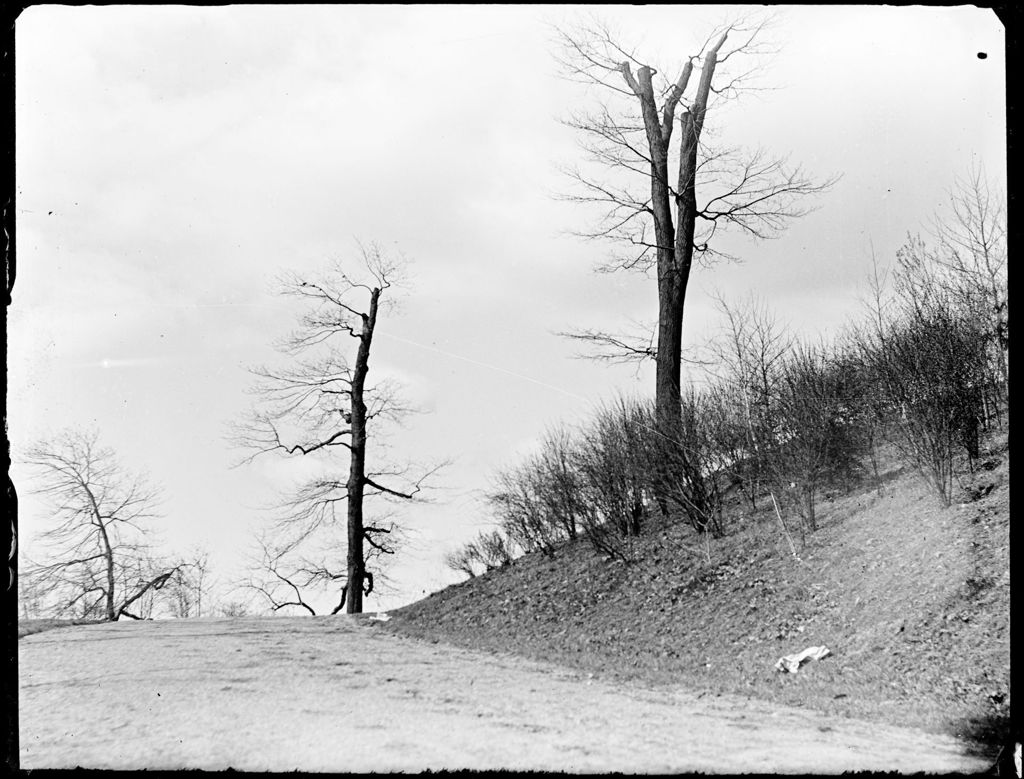 Miniature of Dirt Road Flanked By A Brushed Slope And Trees