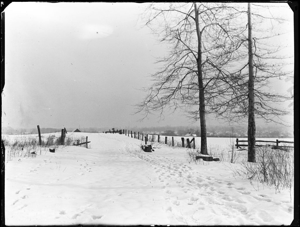 Miniature of Snow Covered Field With Trees And Fencing