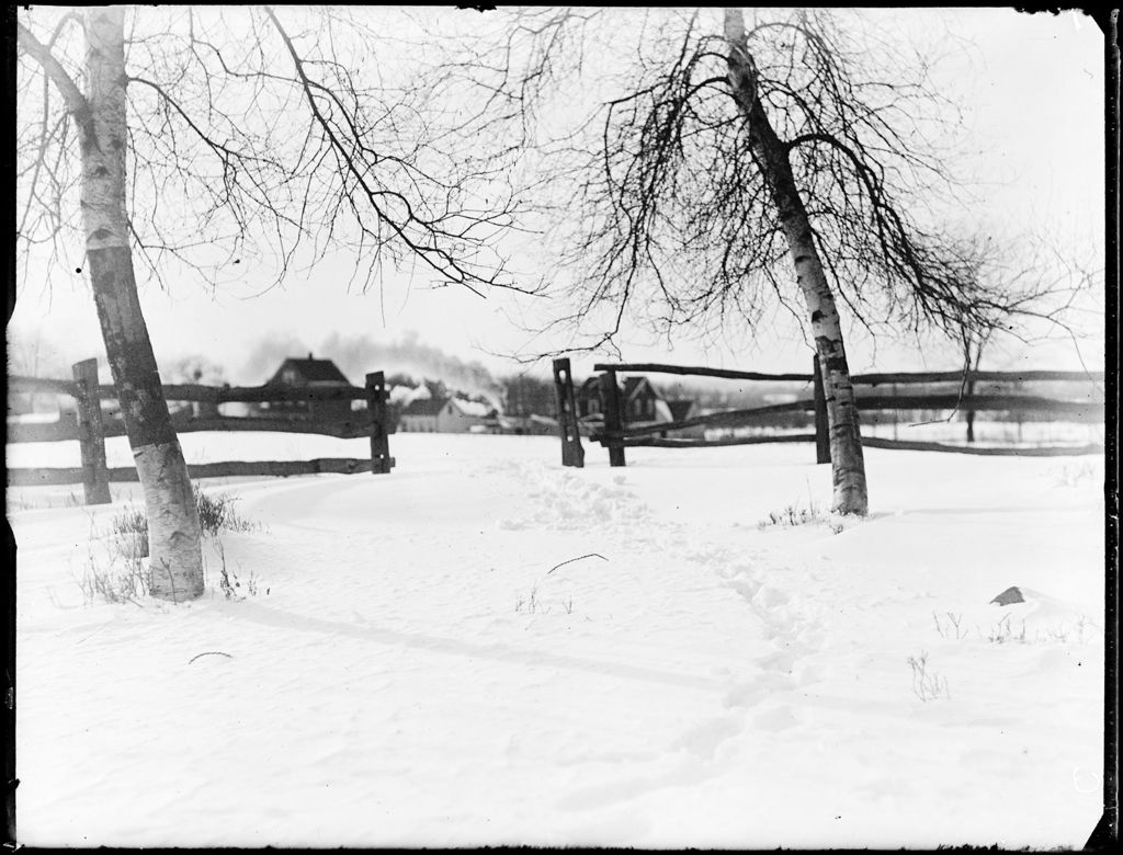 Miniature of Snow Covered Field With Birch Trees, Split Rail Fence And Houses In The Distance