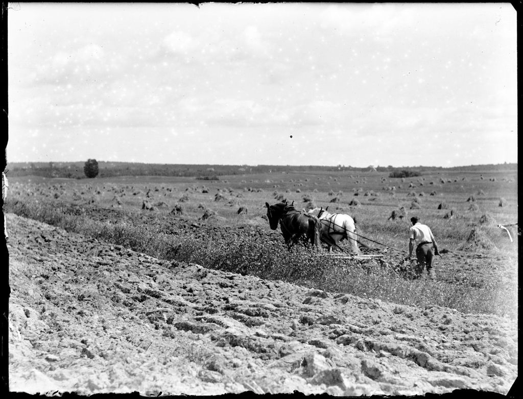 Miniature of Farmer Plowing A Field With A Team Of Horses