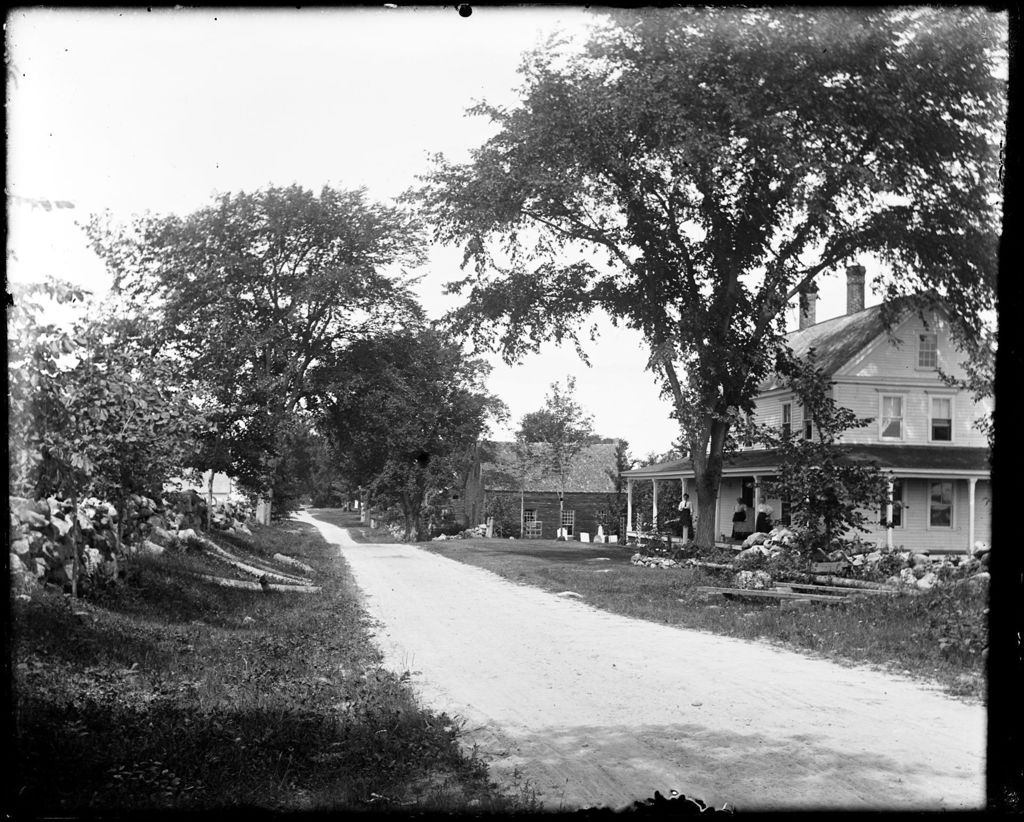 Miniature of Tree, Stone Wall And House Lined Rural Road