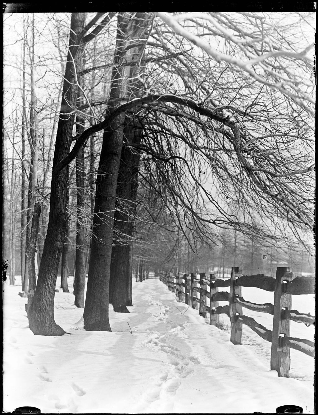 Miniature of Winter Scene With Trees Looking Fown A Split Rail Fence