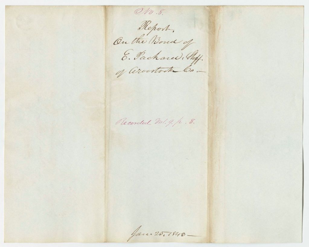 Miniature of Report 8: Report on the Bond of E. Packard, Sheriff of Aroostook County