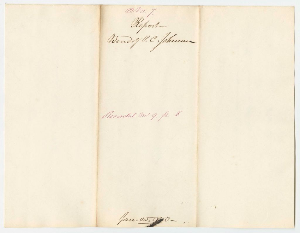 Miniature of Report 7: Report - Bond of P.C. Johnson
