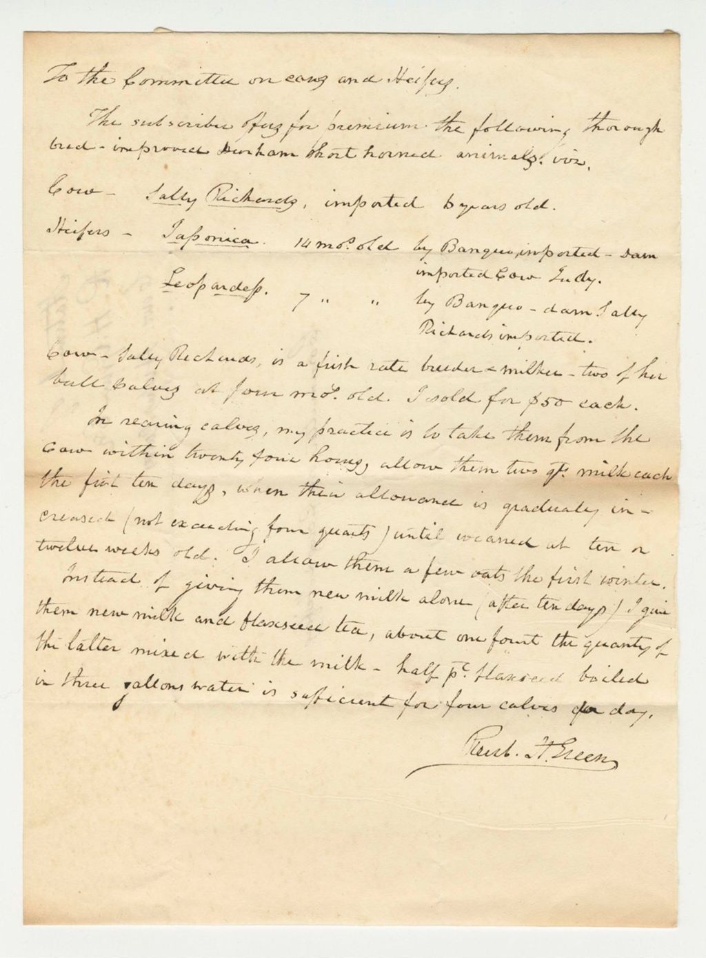 Miniature of Statement of R.H. Green on Cows, Heifers, and Calves