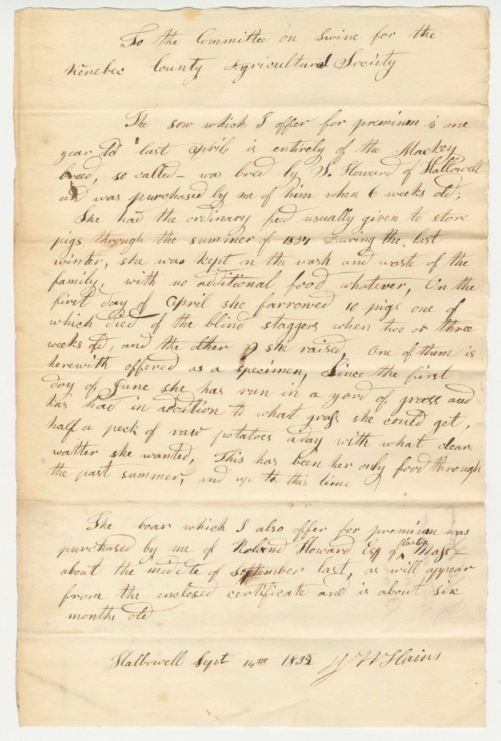 Miniature of Statement of J.W. Hains on Boar