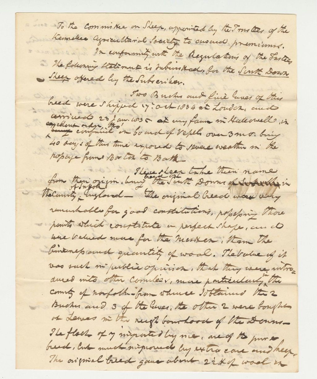 Miniature of Statement of Charles Vaughan on South Down Bucks and Ewes