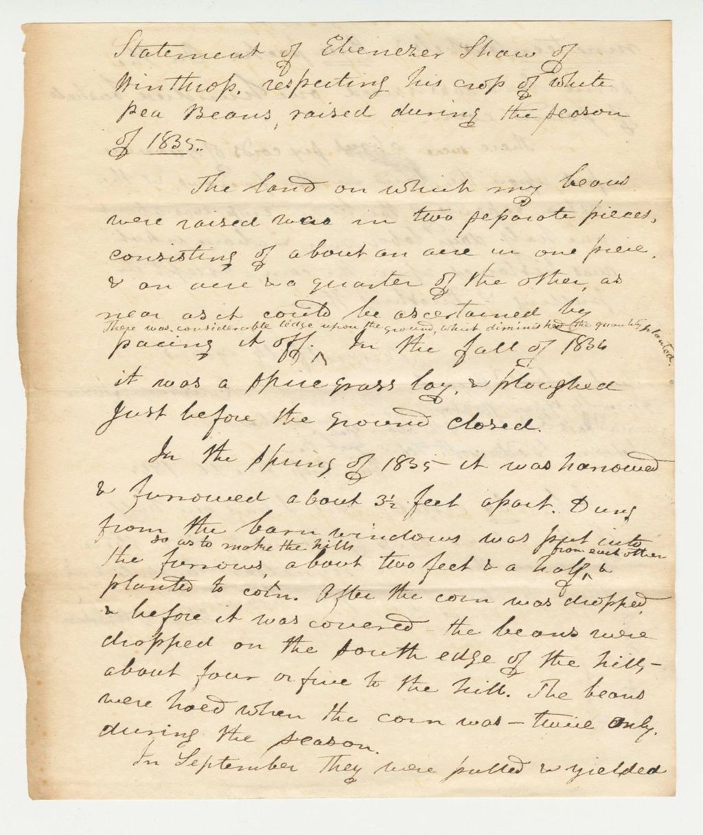 Miniature of Statement of Ebenezer Shaw on White Pea Beans