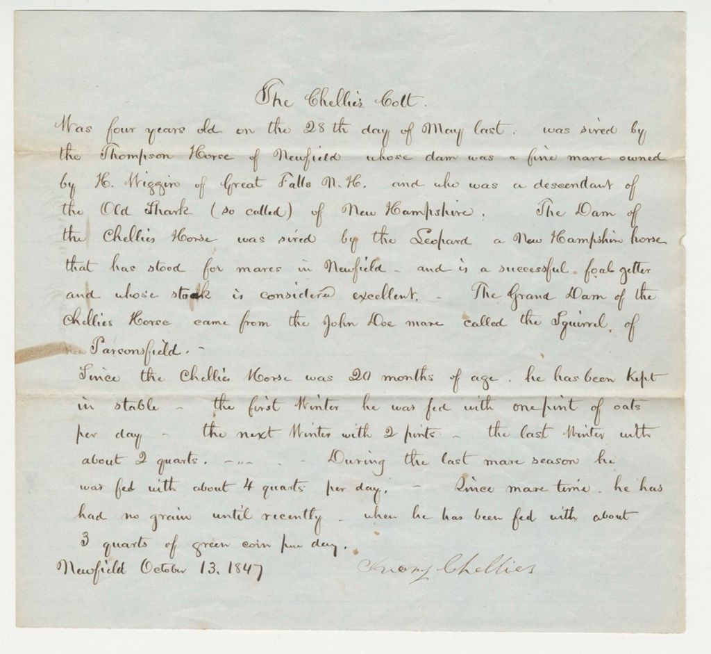 Miniature of Statement on Chellie's Horse