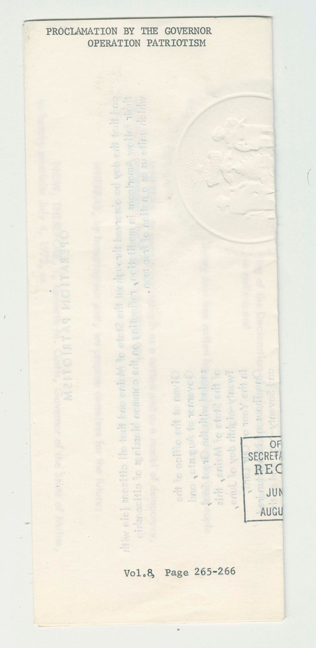 Miniature of Operation Patriotism