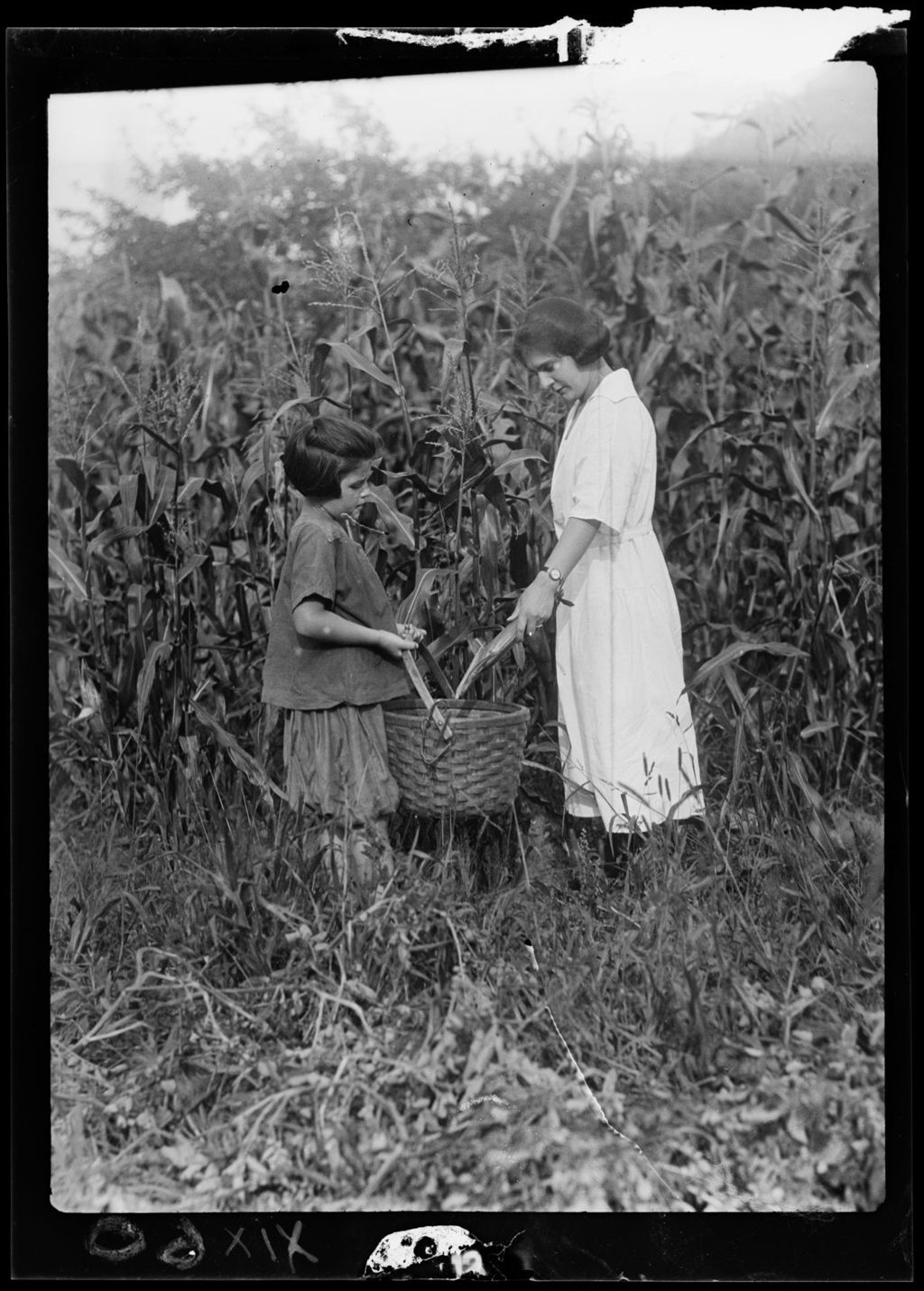 Miniature of Tots- Corn- Florence In Corn 2 Girls Hold Basket In Cornfield