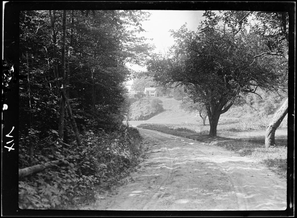 Miniature of Roads- View Towards Carters Down Road Under Apple Tree