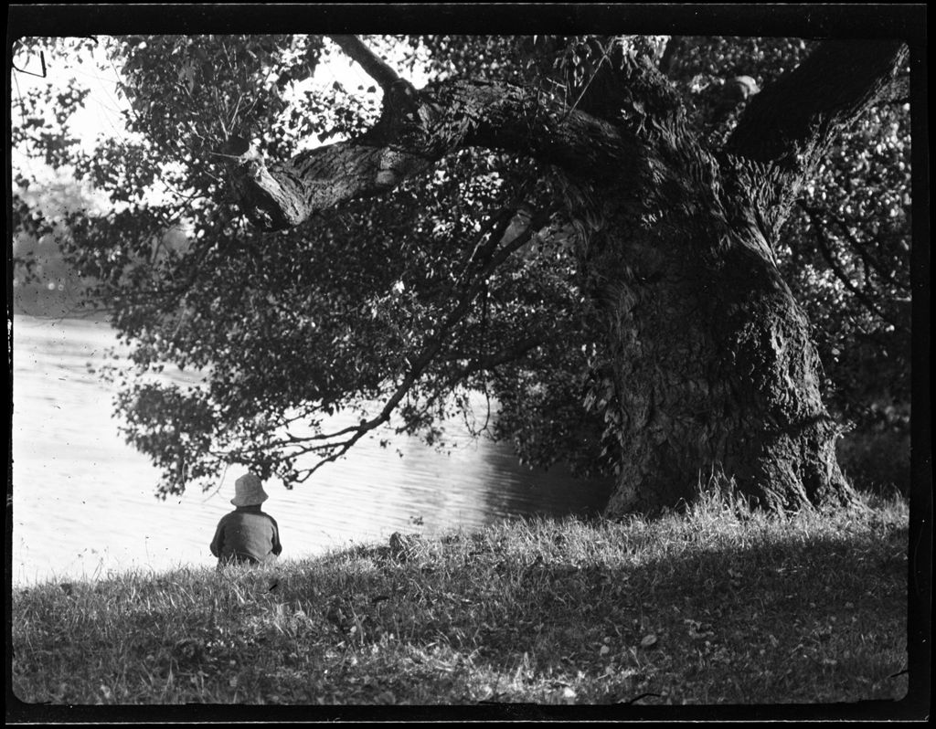 Miniature of Tots- Don Sits Next To Knarly Tree At Streams Edge