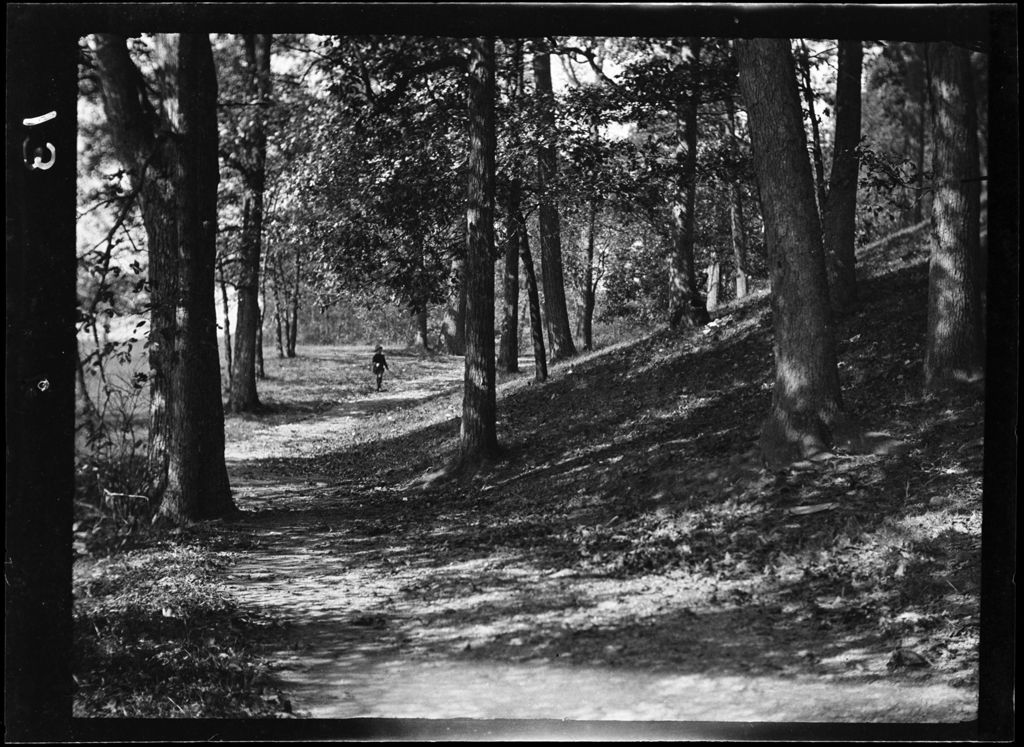 Miniature of Tots- Don Walks Path In Franklin Park