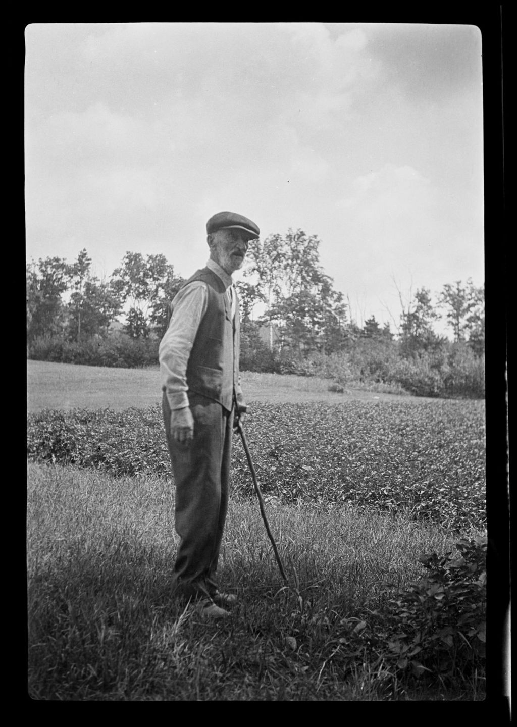 Miniature of Gransir In Field