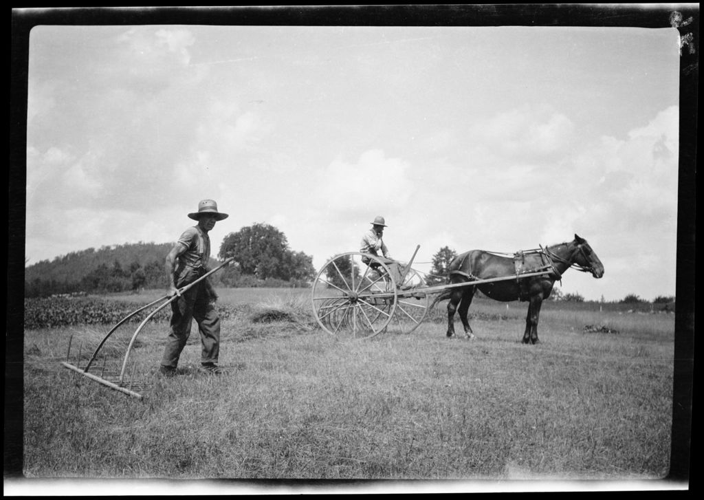 Miniature of Raking Hay- Pa Rakes Hay