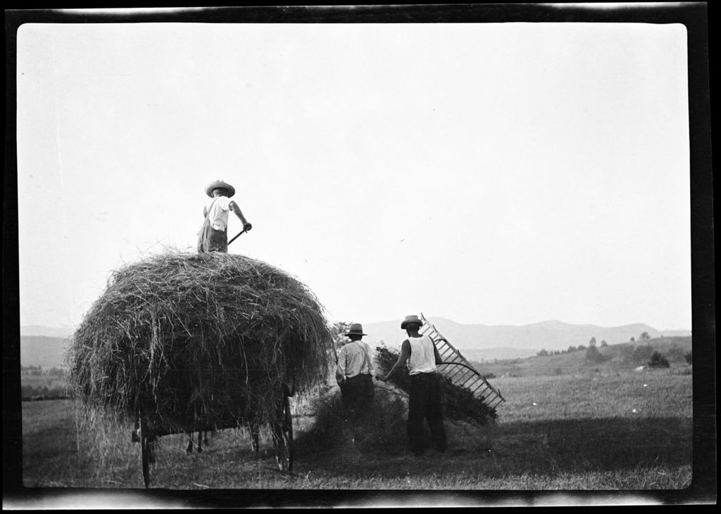 Miniature of Haying- Men Pile Hay On Wagon At Olin's Place