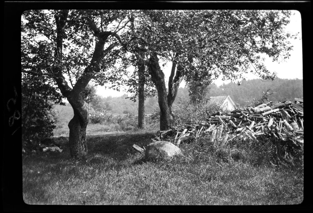 Miniature of Trees- Apple Hole- Two Near It
