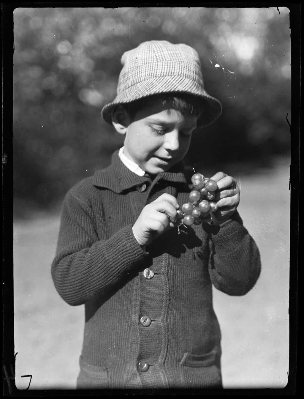 Miniature of Tots- Don Eats Grapes