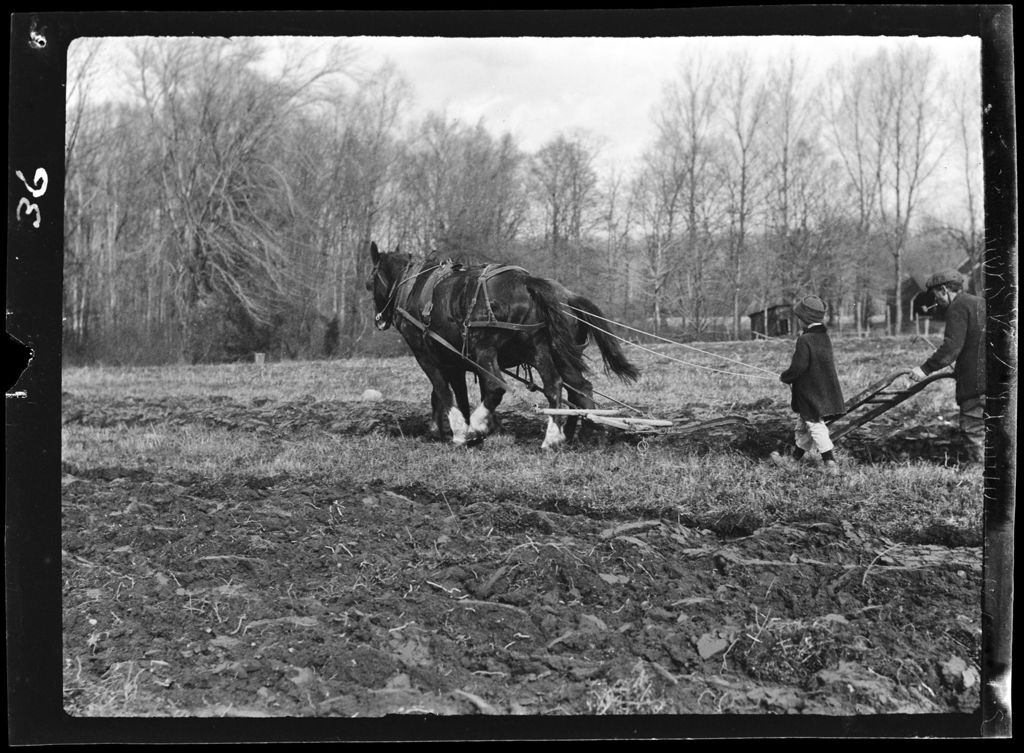 Miniature of Genre- Ploughing Field (N.J.)