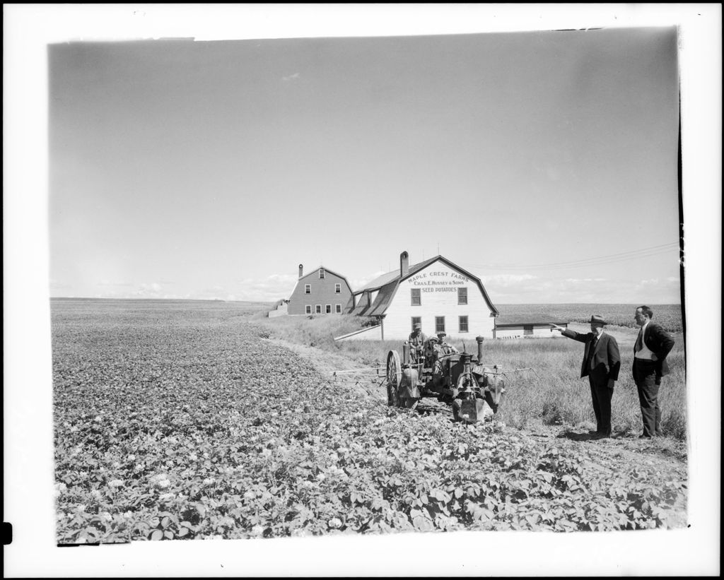 Miniature of Workers Using A Tractor To Spray A Potato Field, Storage Barns In Background, "Maple Crest Farms Seed Potatoes Chas. E. Hussey & Sons"