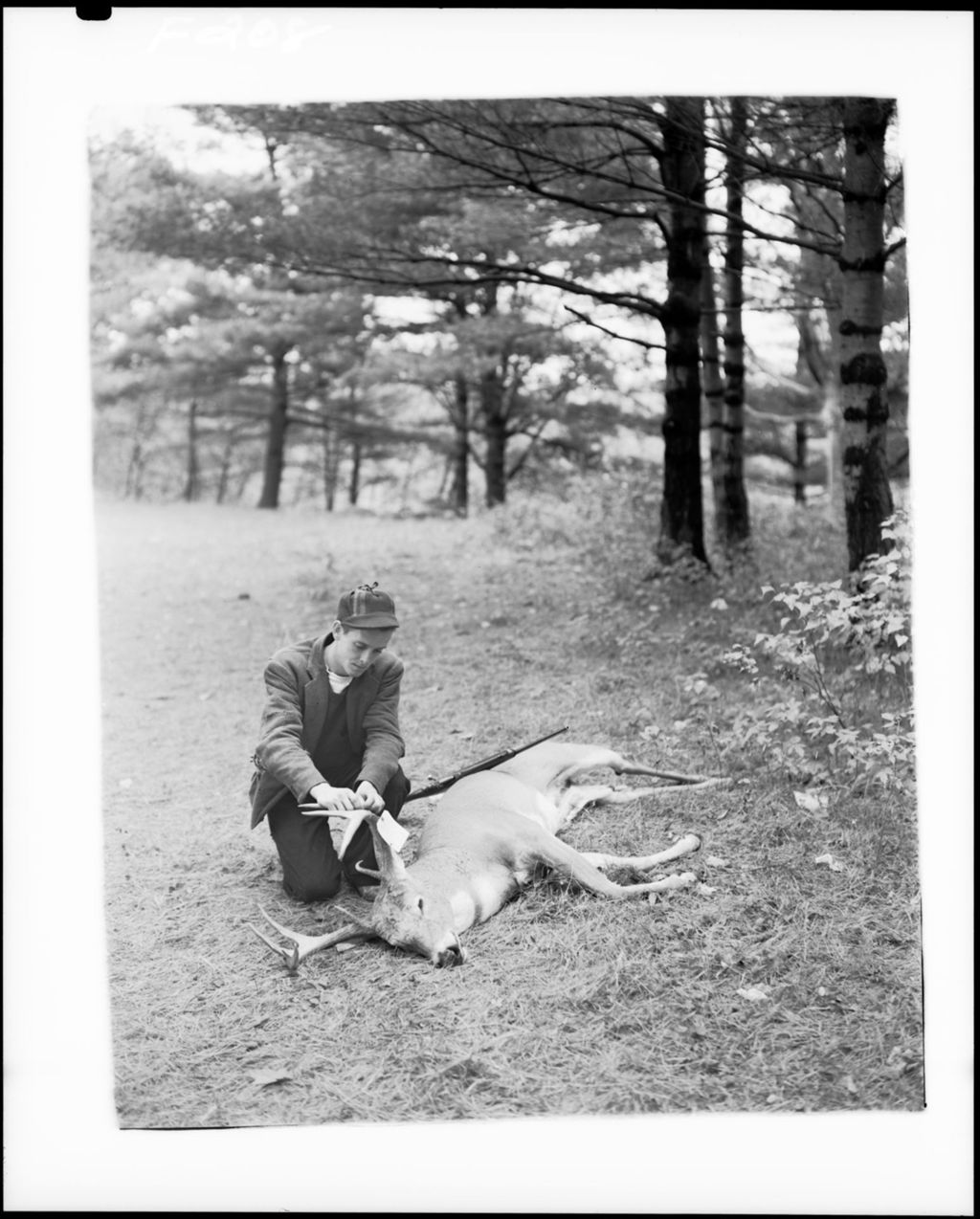 Miniature of Hunter Tagging A Ten Point Buck
