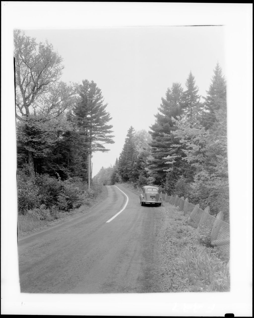 Miniature of A Tree Lined Highway