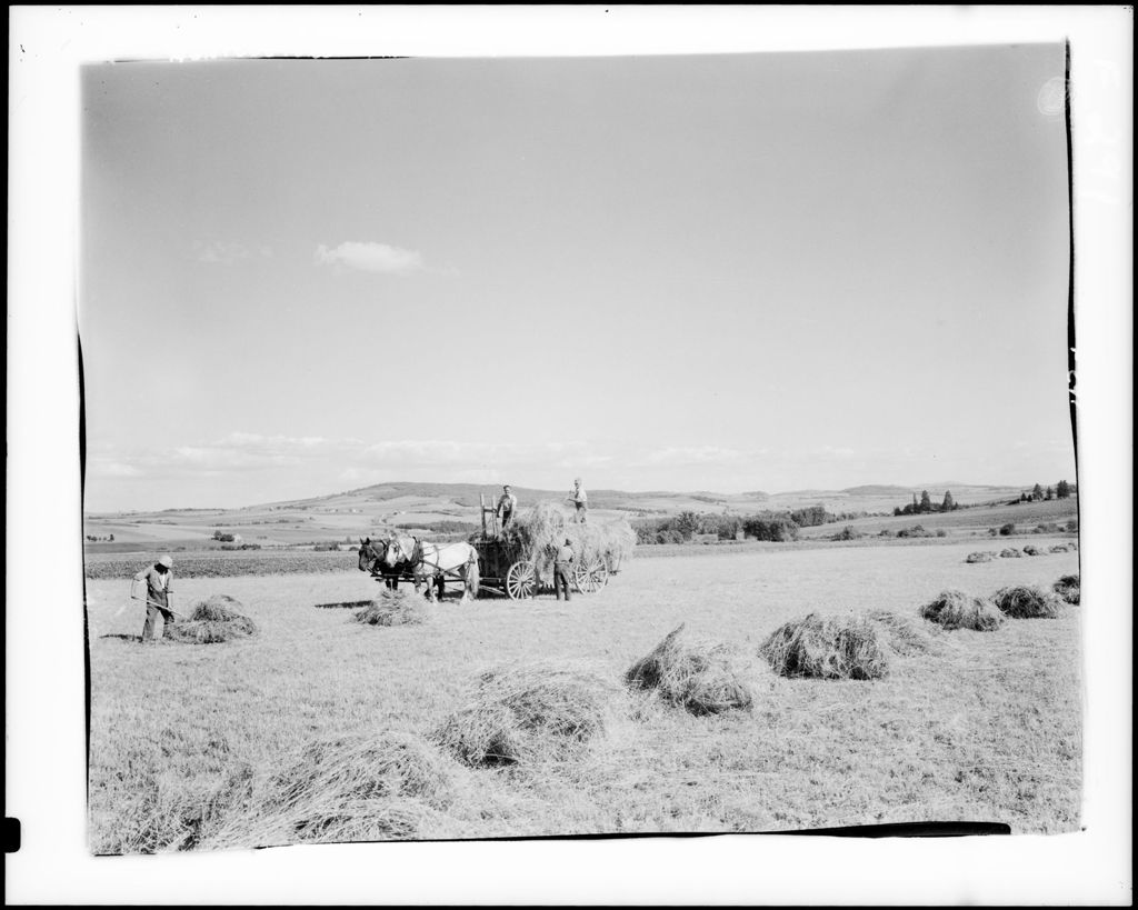 Miniature of Haying A Field