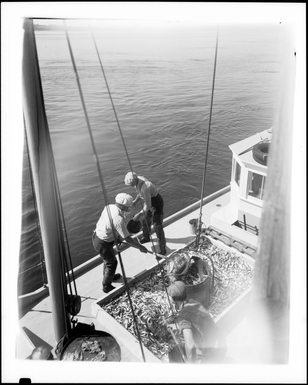 Miniature of Workers Unloading Herring From Hold Of A Sardine Carrier In Eastport