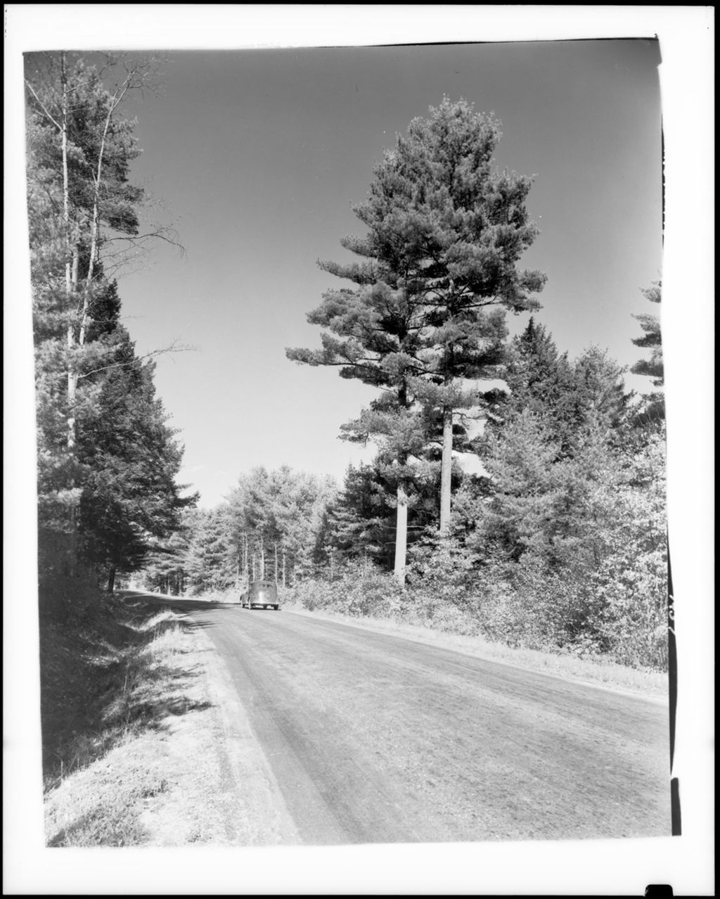Miniature of Tree Lined Tarred Road Near Center Lovell