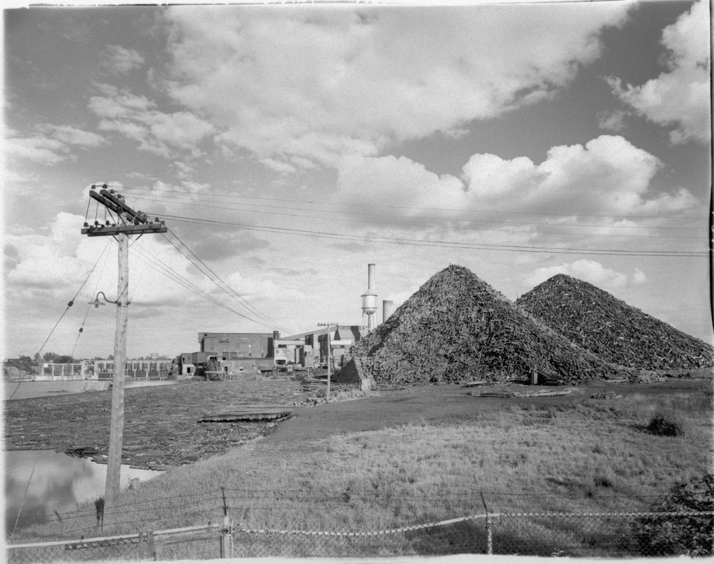 Miniature of Log Piles At A Paper Mill In Howland