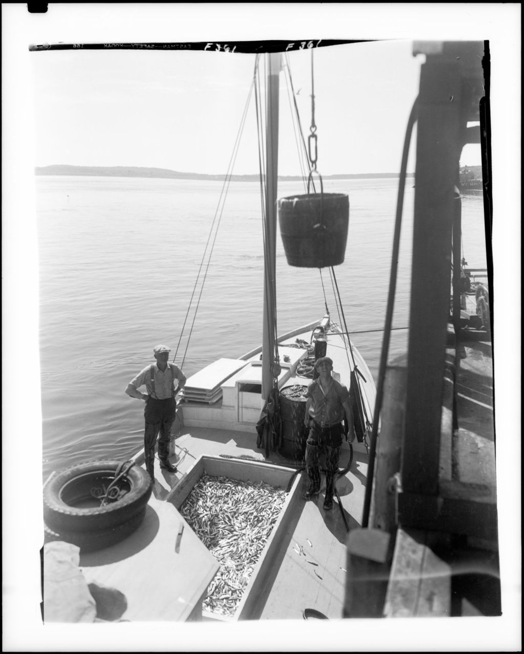 Miniature of Workers Unloading Herring From Hold Of A Sardine Carrier