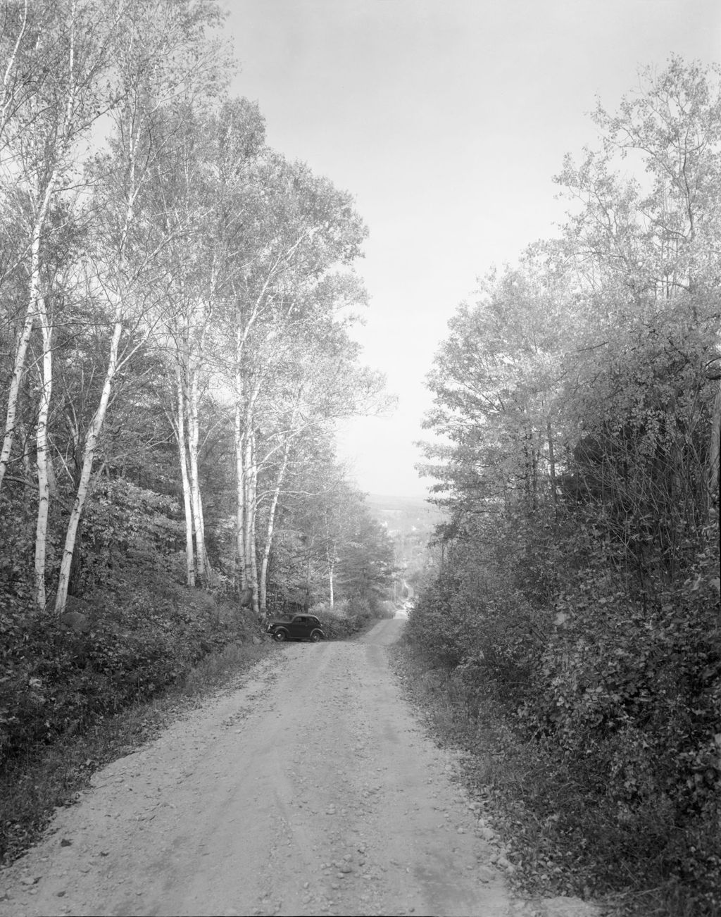 Miniature of Tree Lined Highway In South Waterford