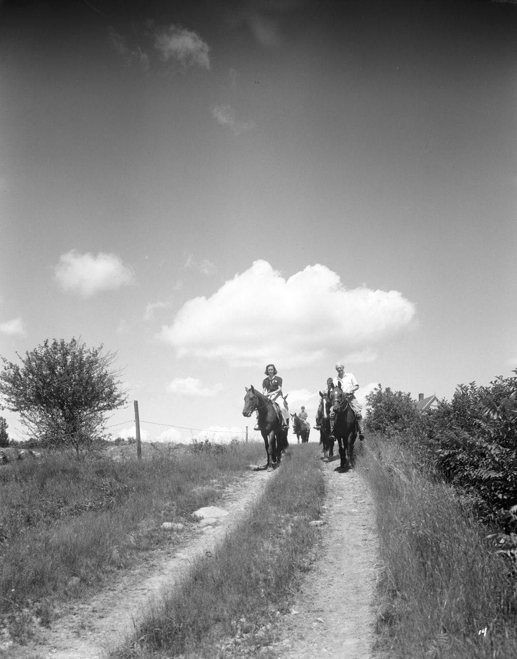 Miniature of Group Of Horseback Riders Coming Down A Hill In Jefferson