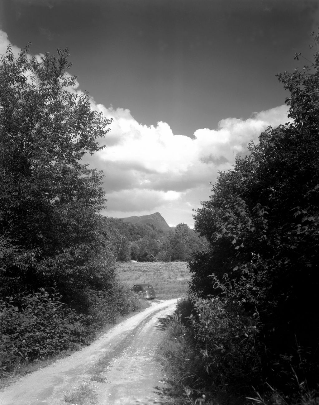 Miniature of Tree Lined Road Opening Into A Field With View Of Distant Mountains "Byron Road" In Brownfield