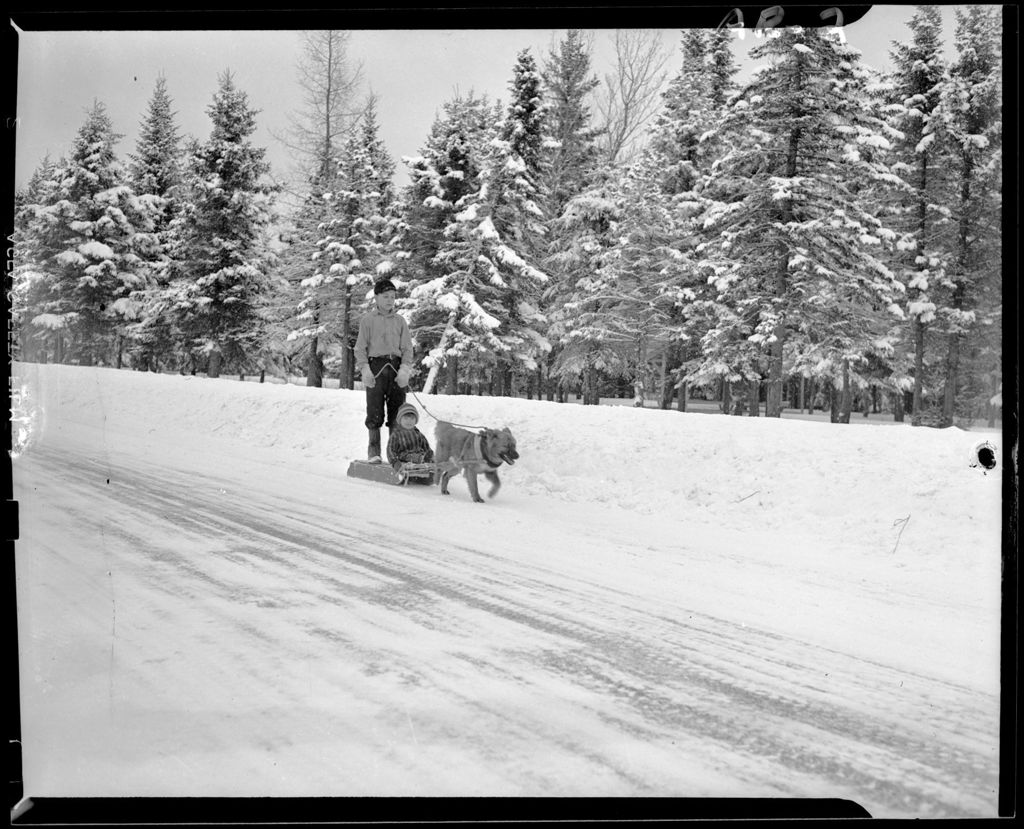 Miniature of Young Boy On A Single Dog Sled