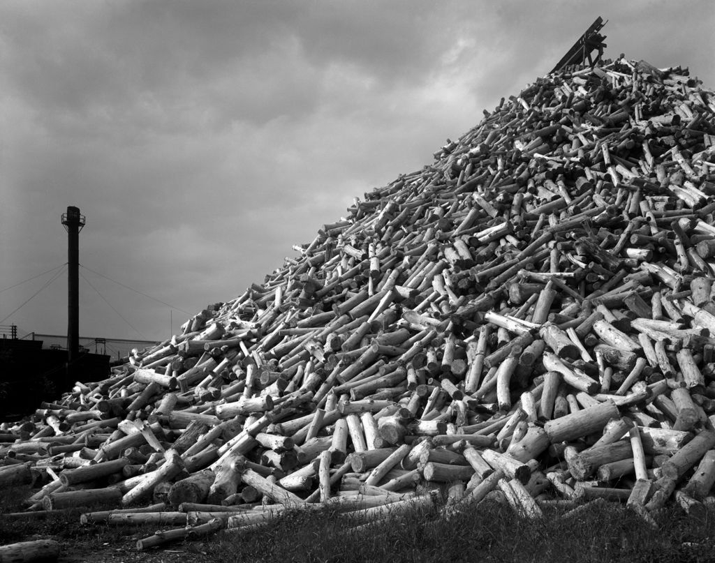 Miniature of Pulp Log Pile At A Paper Mill In Livermore Falls